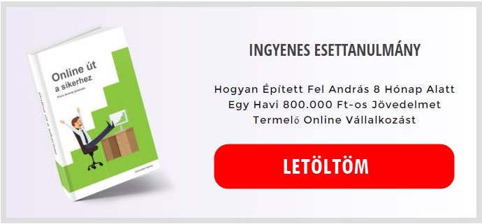 Innofit marketing esettanulmány
